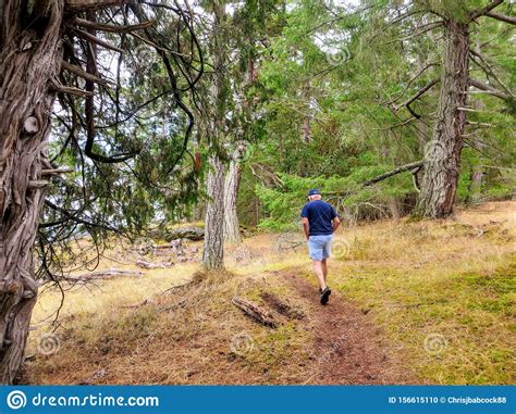 Un Hombre Caminando Solo Por Un Bosque Por Un Camino Foto De Archivo Imagen De Activo Viaje