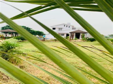 New Lush Green Farm House In Bajargaon Nagpur Realestateindiacom