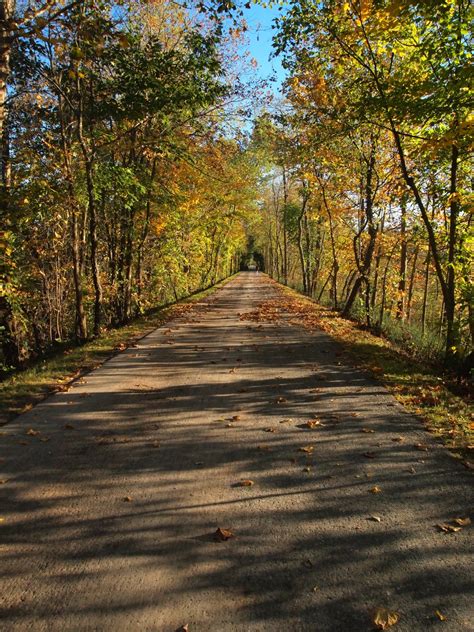 Free Images Landscape Tree Nature Forest Wilderness Trail