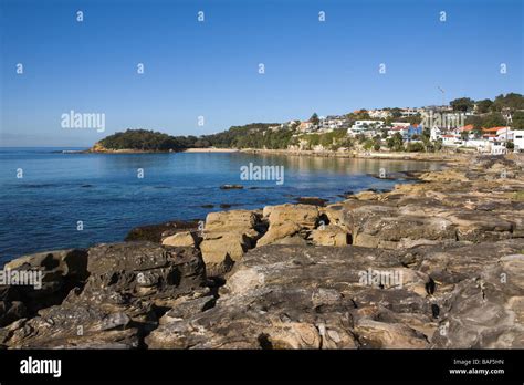 Cabbage Tree Bay And Shelly Beach Park Manly Sydney New South Wales