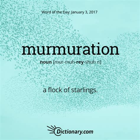 Get The Word Of The Day Murmuration Unusual Words