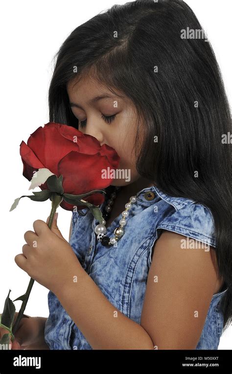 Little Girl Holding Rose Stock Photo Alamy