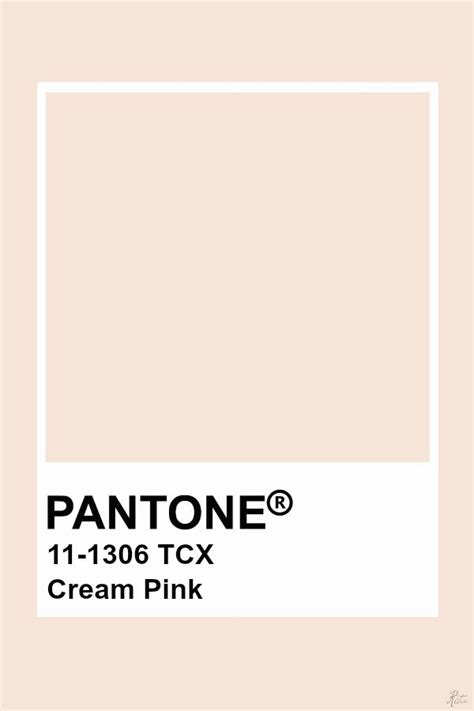 Pantone Cream Pink Pantone Colour Palettes Pantone Color Pantone