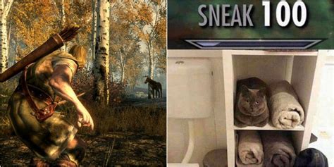 Skyrim 10 Hilarious Memes About Sneaking And Stealth
