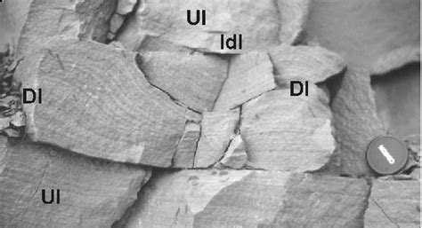 Convolute Laminae In Sheet Sandstones Near Tømmeråsen Showing Domed