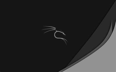 Github Dorianprokali Linux Wallpapers A Set Of Dedicated Kali Linux