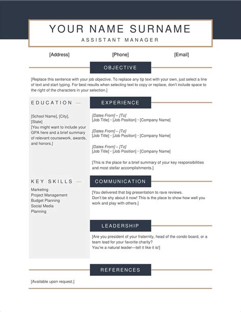 Professional Resume Cv Template Word Free Download 2020
