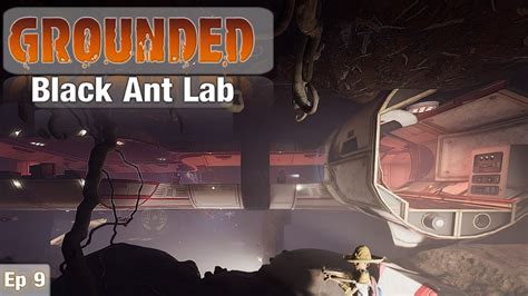 Grounded Let S Get The Black Ant Lab Super Chip Ep Youtube