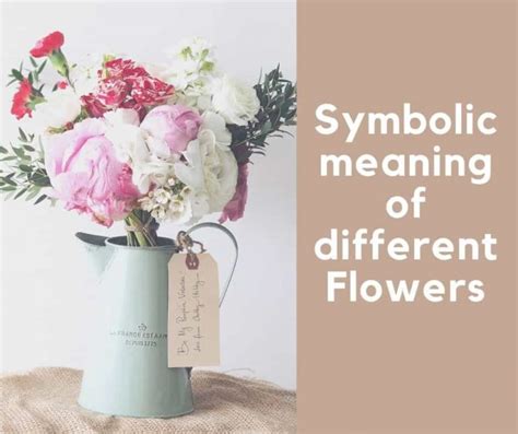 Flower Symbolism In Cultures The Symbolic Meaning Of Different Flowers