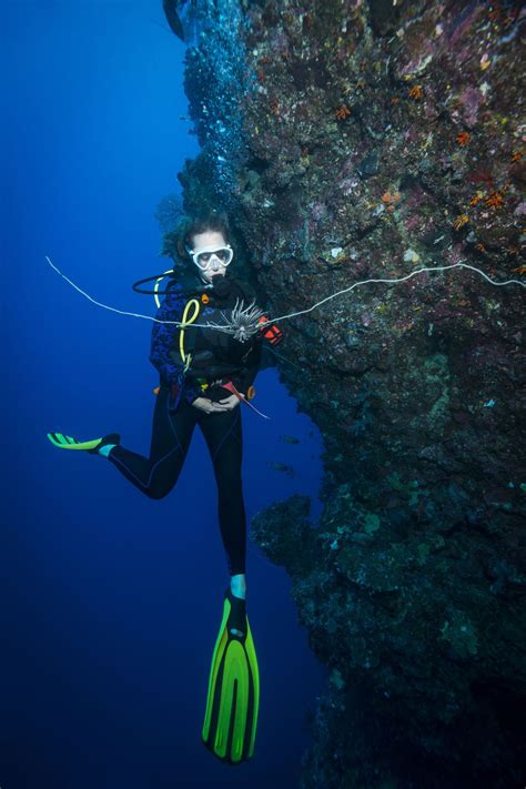 Центр дайвинга в ялте, крым. Fascinating Facts About Scuba Diving You Probably Didn't Know - Thrillspire