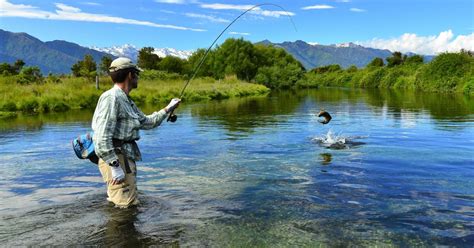 Fly Fishing Angling In New Zealand Tourism New Zealand