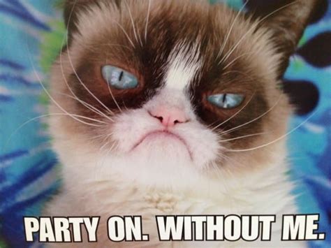 Happy 2nd Birthday Grumpy Cat Catch My Party
