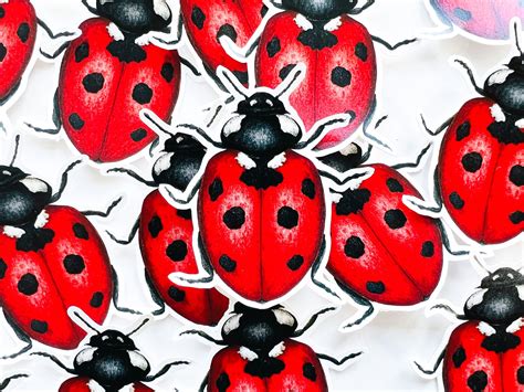 Ladybug Vinyl Sticker Waterproof Stickers For Laptop And Etsy