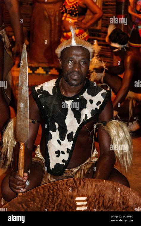 Zulu Troupe Perform In Traditional Dress At The Shakaland Zulu Cultural