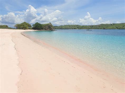 The Beautiful Pink Beach Of Komodo Island Indonesia Just The Travel