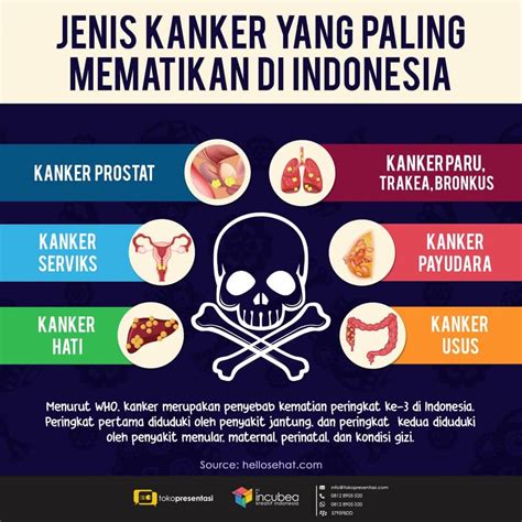 Infografis Jenis Kanker Mematikan Di Indonesia