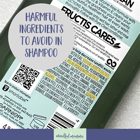 High 10 Dangerous Elements Lurking In Your Shampoo Diyclothes