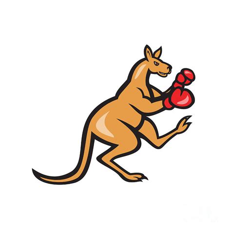 Kangaroo Kick Boxer Boxing Cartoon Digital Art By Aloysius