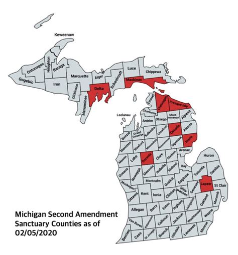 Second Amendment Sanctuary Status Sweeps Across Michigan Counties