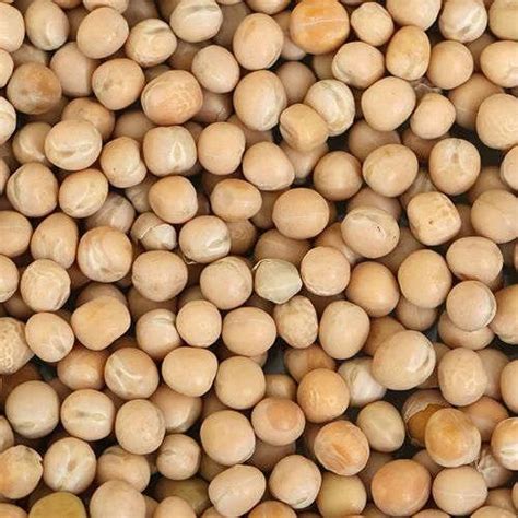 Indian Dry White Peas High In Protein At Rs 38kilogram In Chennai