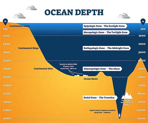 The Mariana Trench Is 7 Miles Deep Whats Down There Flipboard