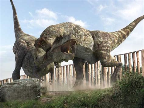 Dato Curioso 8 El Tiranosaurio Rex Poseía La Mordida Más Potente De
