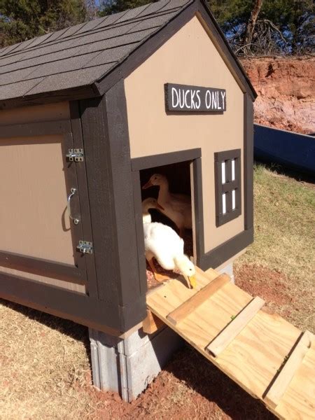 Build the frame with heaver wood slats and then sheath the frame solid with plywood. 37 Free DIY Duck House / Coop Plans & Ideas that You Can ...