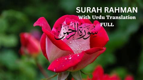Surah Rahman With Urdu Translation Surah Rahman Tarjuma Ke Sath Surah