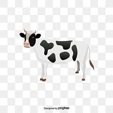 Cattle Clipart PNG Vector PSD And Clipart With Transparent