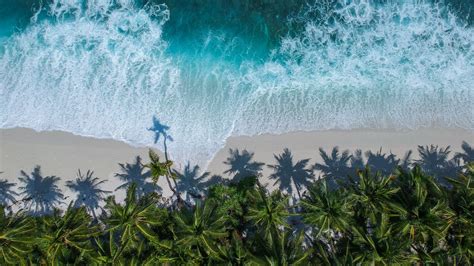 Download Wallpaper 1366x768 Palm Trees Ocean Aerial View Surf Wave