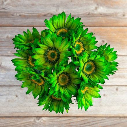 Discover beautiful flowers online by award winning online florists. Clovers Deluxe | Seasonal flowers, Month flowers, Fresh ...