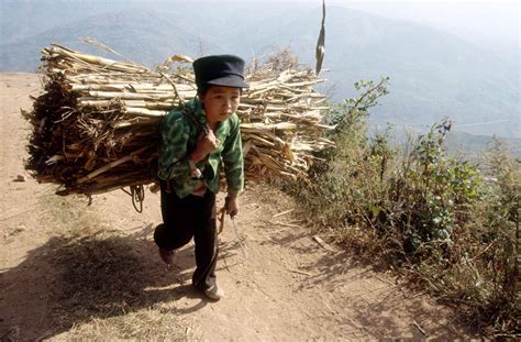 Recent papers in child labor in developing countries. Free the Slaves!: But... Children!