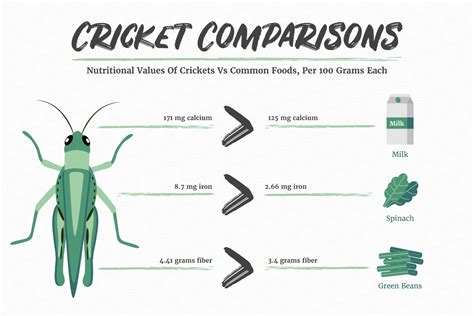 Cricket Nutrition Information And Facts Insight Pest Solutions