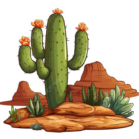 Illustration Of A Cactus In The Desert Cactus Nature Drawing Png