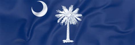 Staatsflagge Von South Carolina Fotos Bilder Und Stockfotos Istock