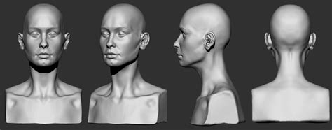 Artstation Female Face Anatomy Study