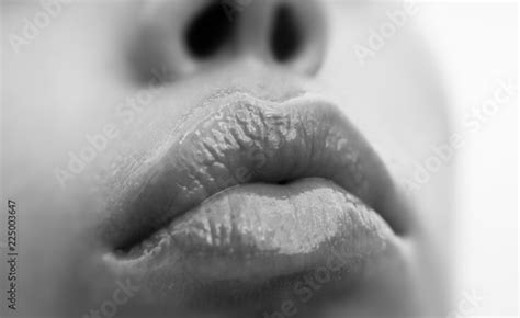 Sensual Wet Lips Part Of The Female Face Close Up Sexy Lips Macro