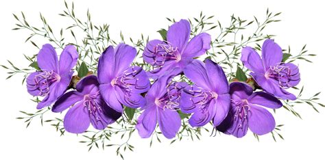 Flowers Purple Arrangement Free Photo On Pixabay