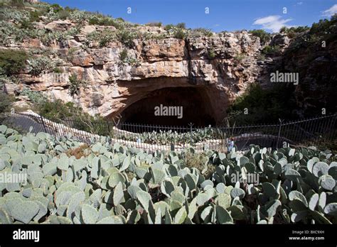 Carlsbad New Mexico The Natural Entrance To Carlsbad Caverns In