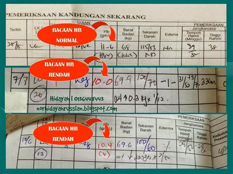 Check spelling or type a new query. BlogShakleeSaya: Bacaan HB dan Ibu Hamil
