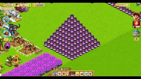 We did not find results for: طريقة عمل هرم من السماد 9999 مزرعتنا السعيدة زكريا فرح ابو ...