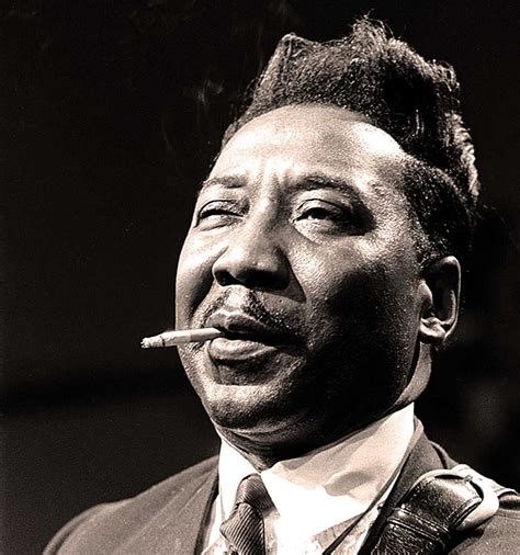 Muddy Waters In Concert At Cw Post College 1977 Nights At The