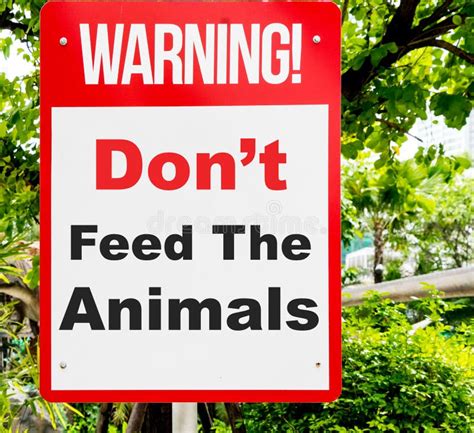 Don T Feed The Animal Warning Sign With Nature Stock Image Image Of