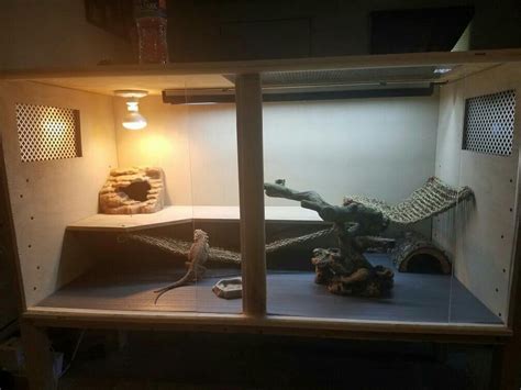 Bearded dragons have a fearsome name but they make for adorable pets. DIY terrarium? | Bearded Dragon Forum