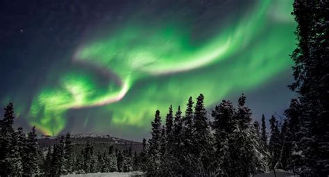 Plan Ahead And Watch The Northern Lights From Igloos At Alaskas Borealis