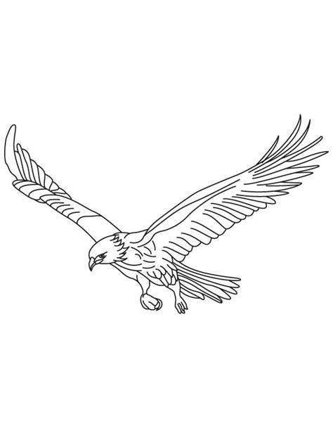 Free bird nest and egg coloring page thelittleladybirdcom. Flying Crow Drawing at GetDrawings | Free download