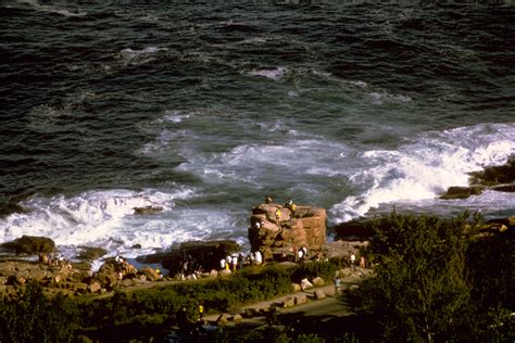 Rugged Coastline At Acadia National Park Maine Image