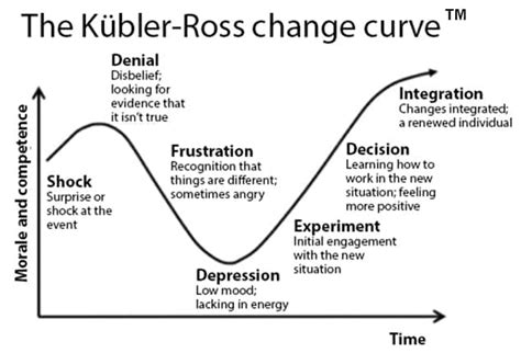 The Kubler Ross Change Curve Understanding The 5 Stages Of Change 2022