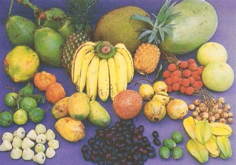 Fresh Bangladeshi Fruitsbangladesh Fame Price Supplier 21food