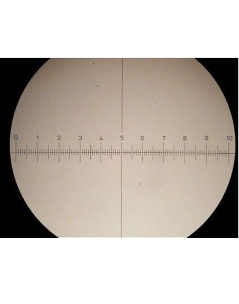 Wf10x 22mm 10x Measuring Microscope Eyepiece Reticle Graticule Scale 30mm